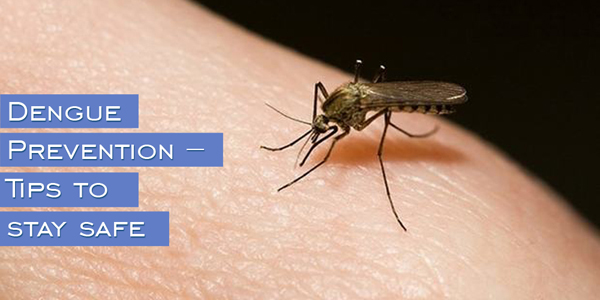 dengue prevention tips to stay safe