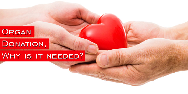 Why Organ Donation is needed