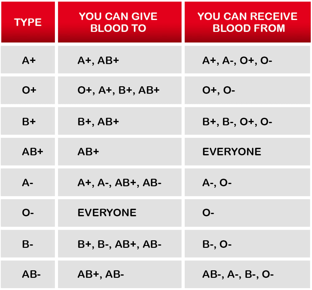 World Blood Donor Day Know All About Blood Transfusions