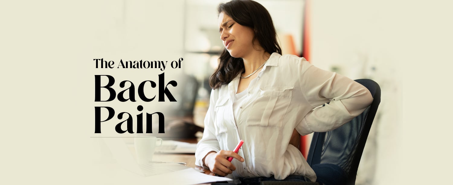 The Anatomy of Back Pain